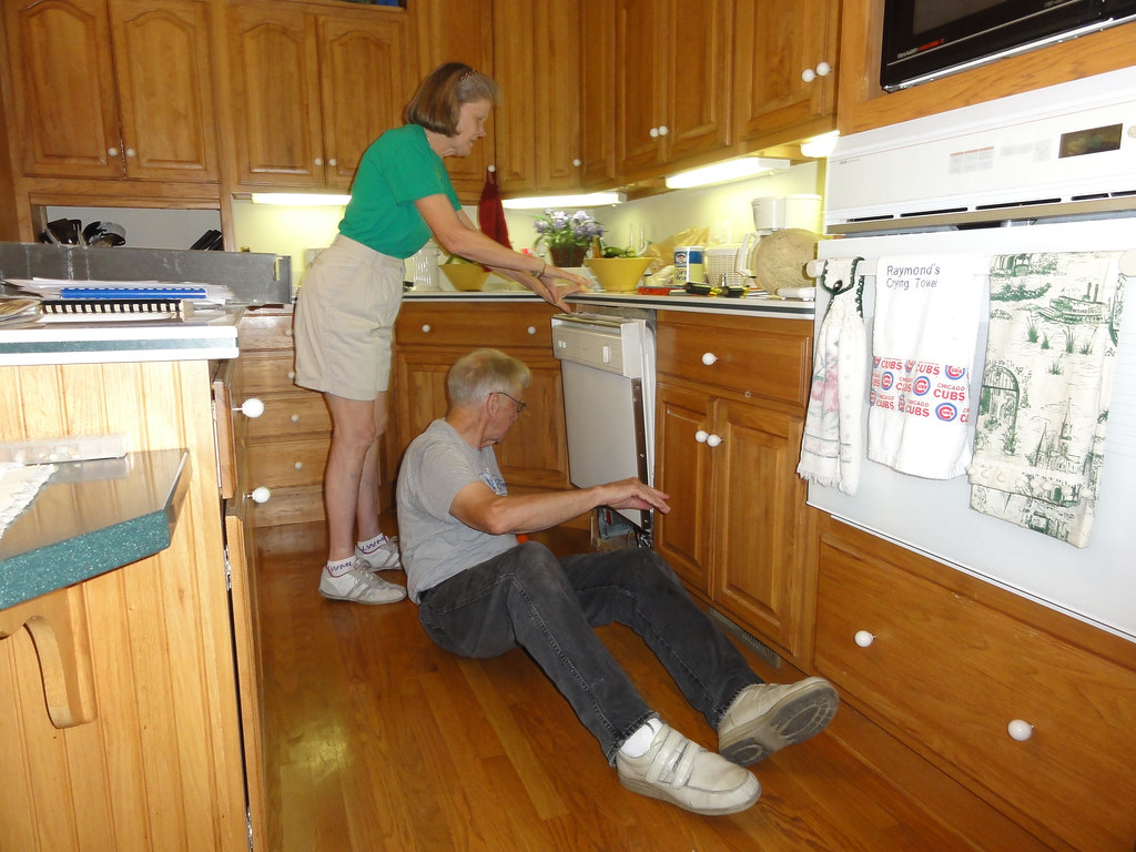 Dishwasher repair